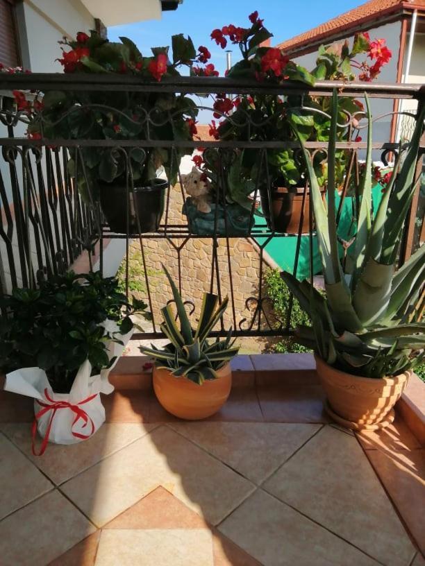 Guesthouse Athanasiou Káto Loutrákion Kültér fotó