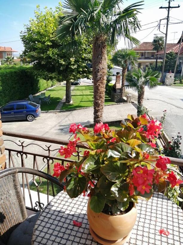 Guesthouse Athanasiou Káto Loutrákion Kültér fotó