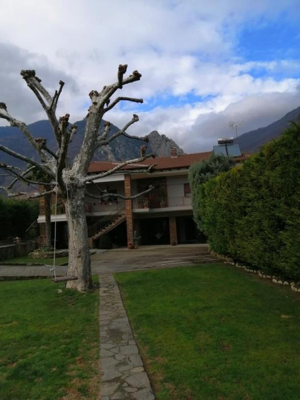 Guesthouse Athanasiou Káto Loutrákion Kültér fotó